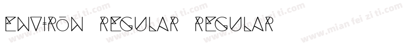 Environ Regular Regular字体转换